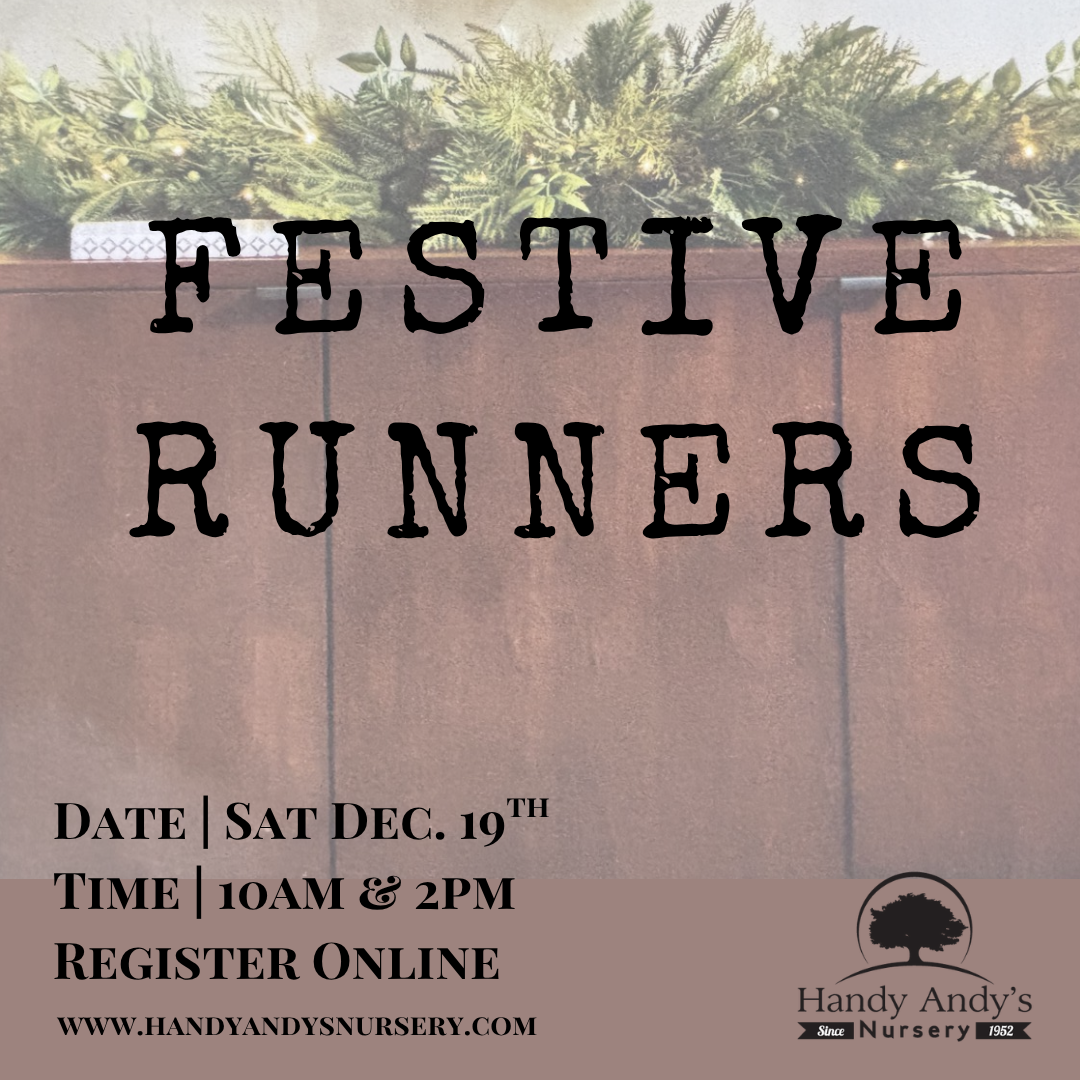 FESTIVE RUNNERS