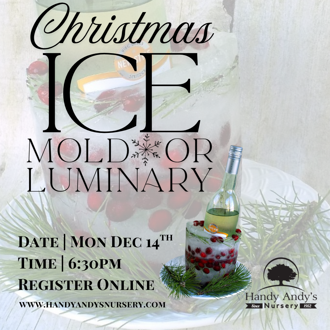CHRISTMAS ICE MOLD LUMINARY