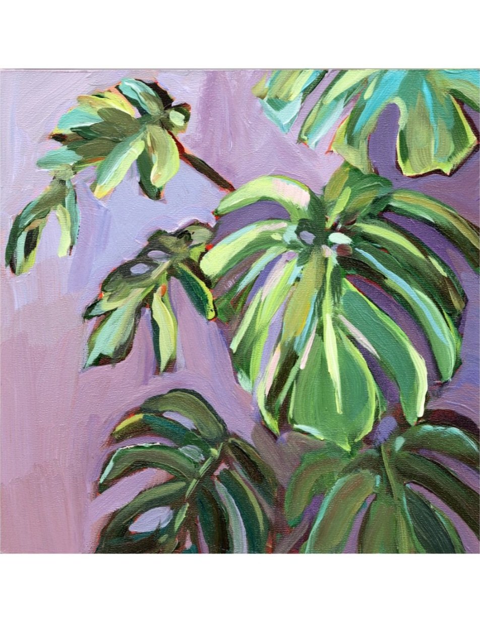 Monstera Leaves