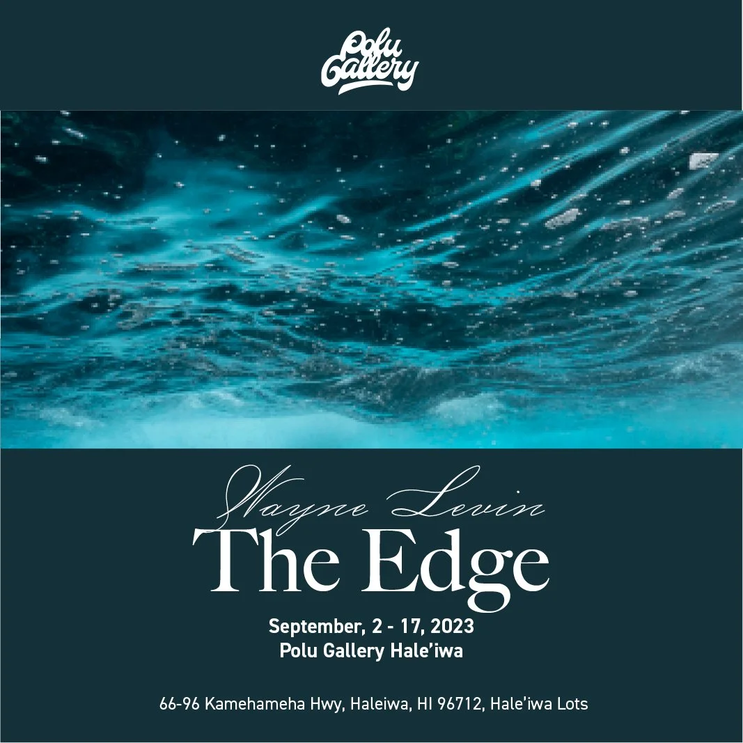 Wayne Levin's The Edge Exhibition