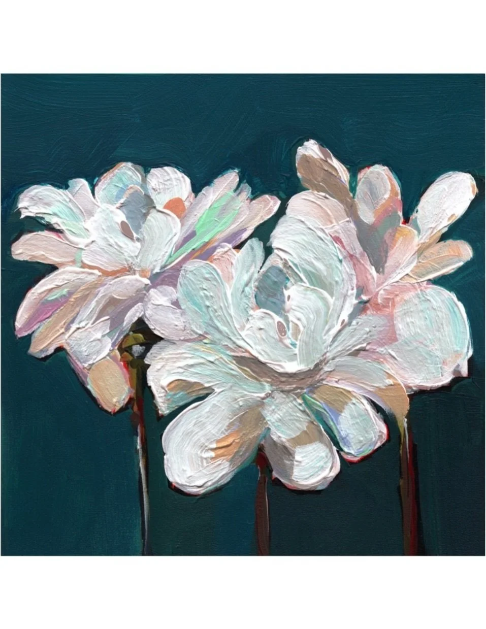 White Torch Ginger