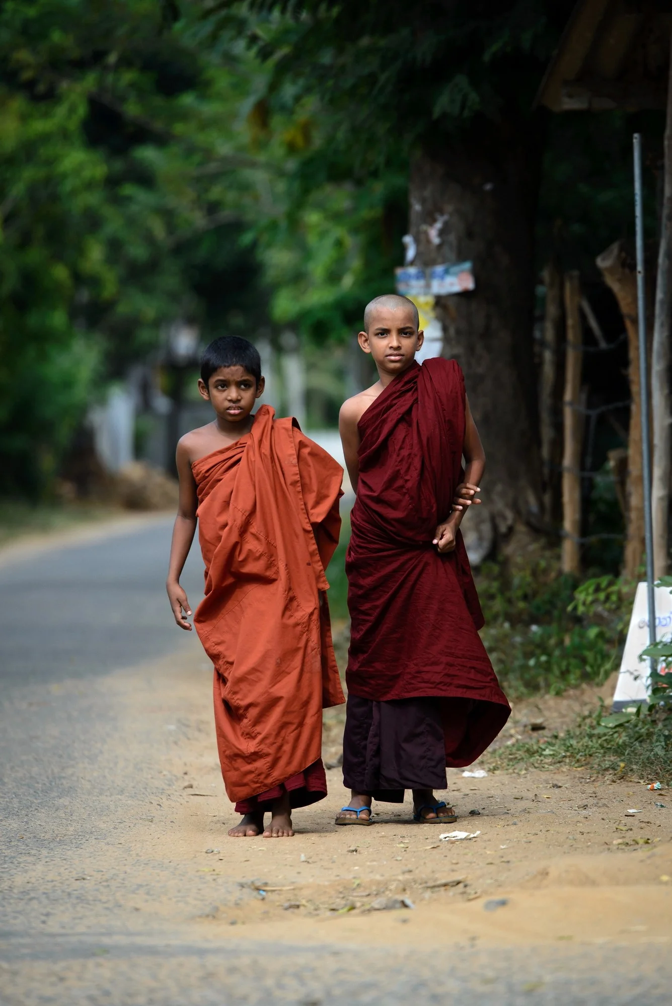 Young Buddhist monks