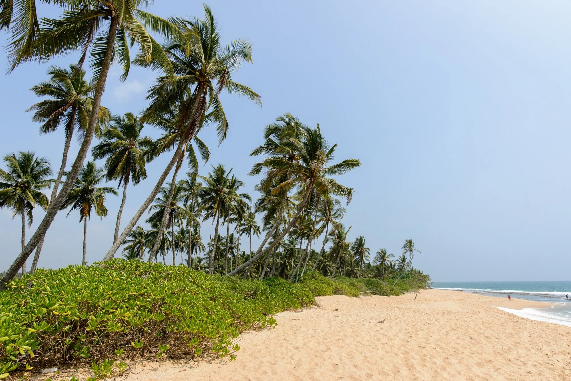 22_Web_Tangalle_Sri_Lanka_Ivo_Daskalov.jpg