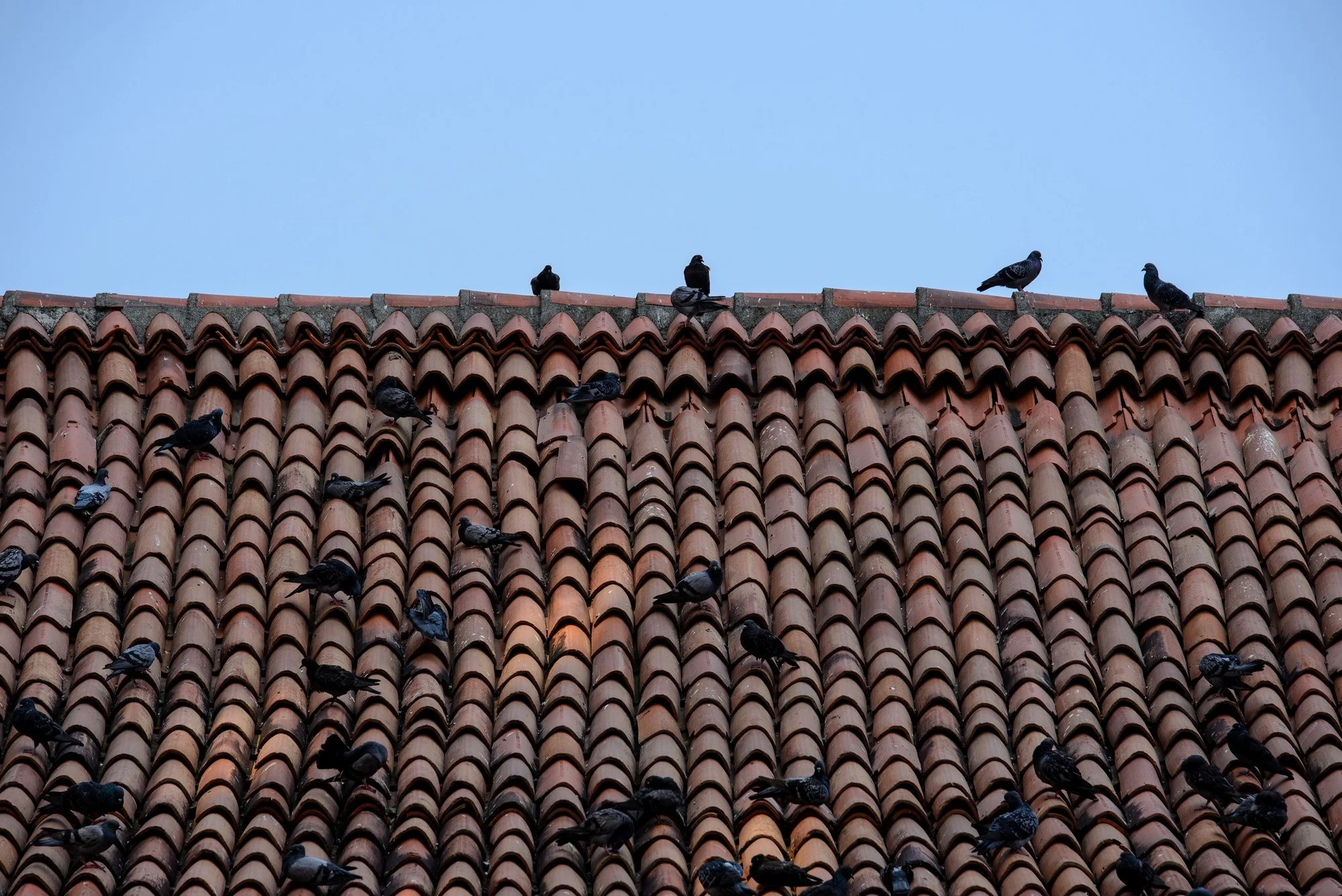 Rooftops