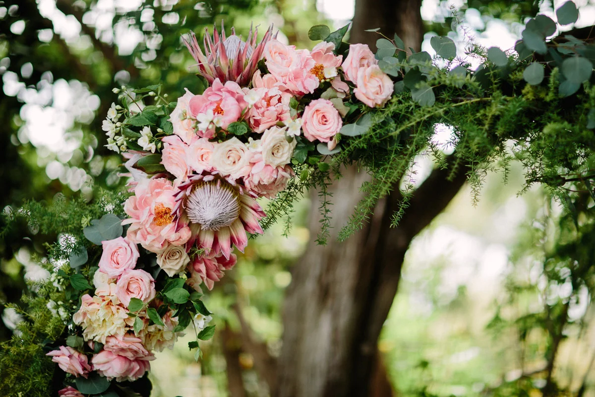 letsfrolictogether_20160521_0078.jpg