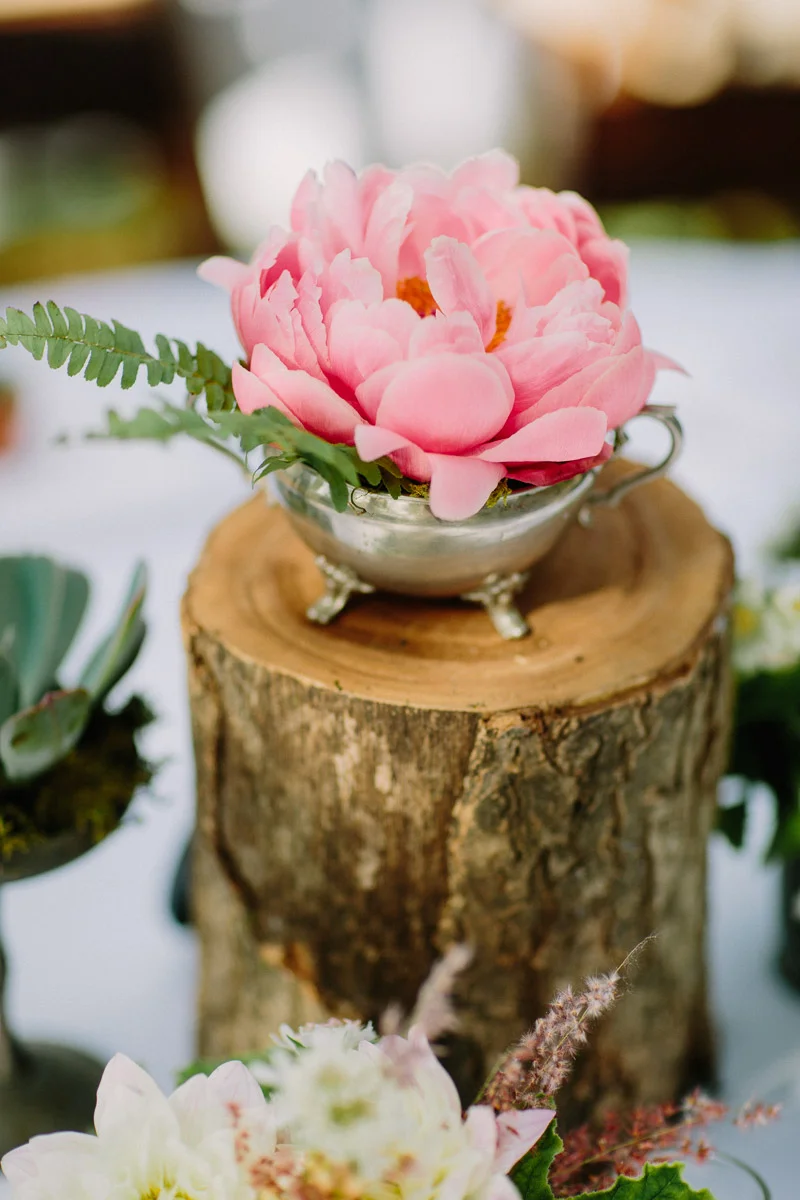 letsfrolictogether_20160521_0160.jpg