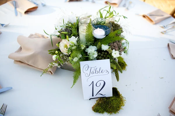 table 12 closeup.jpg