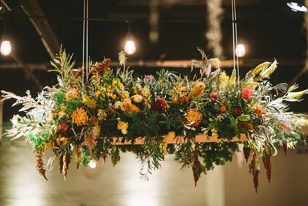 letsfrolictogether_20151114_0452.jpg