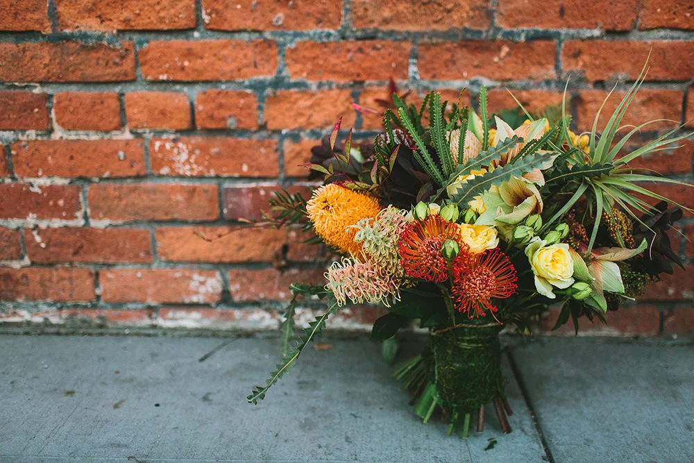 letsfrolictogether_20151114_0599.jpg