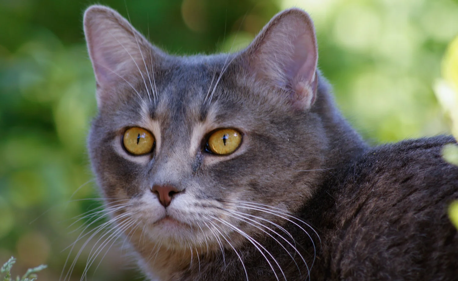 Jack-20110405-_DSC1082.jpg