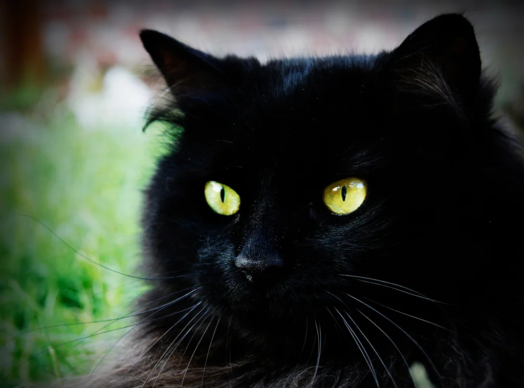 Moki-20100828-Moki2010007-006.jpg
