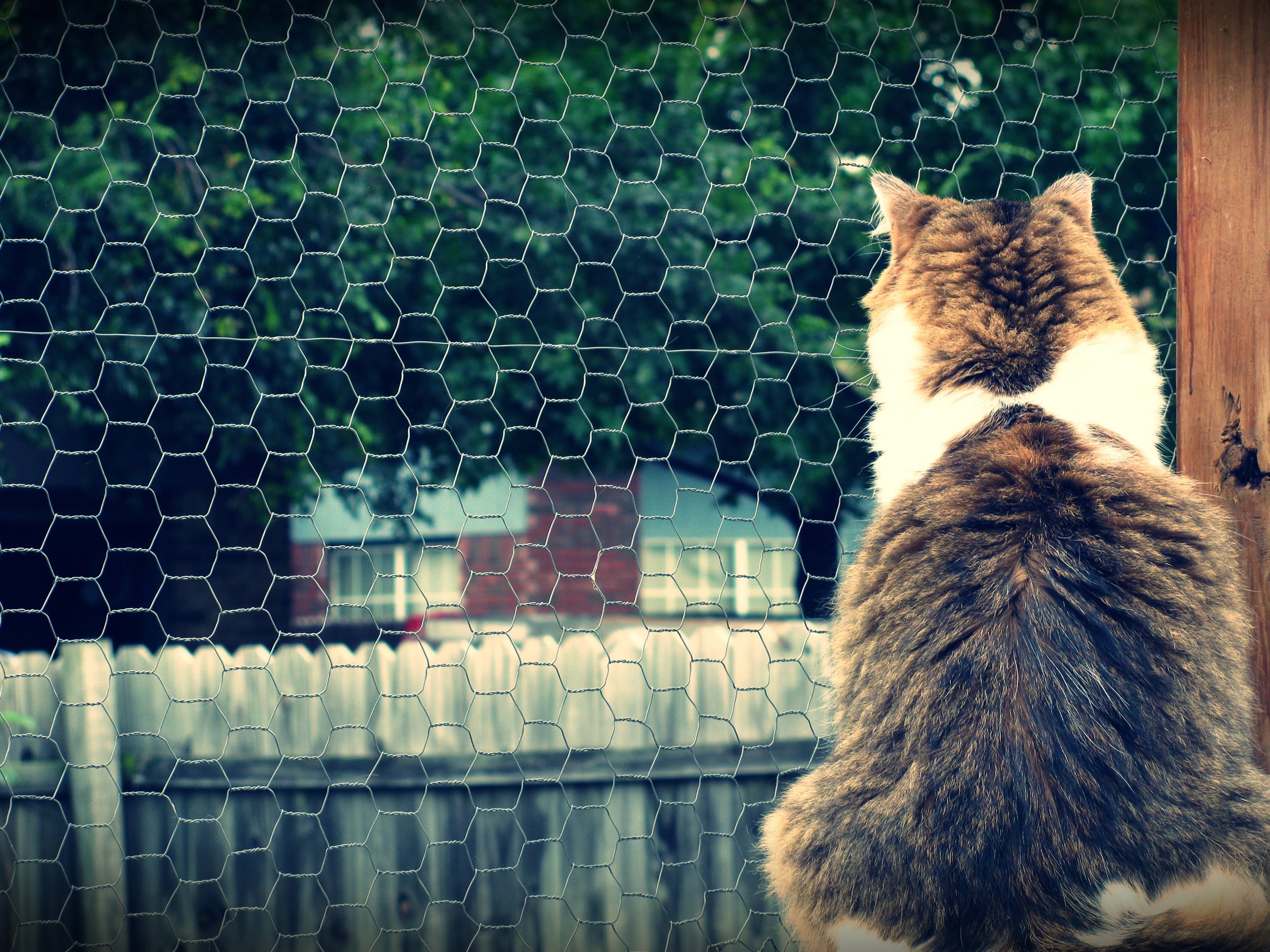 Patience...