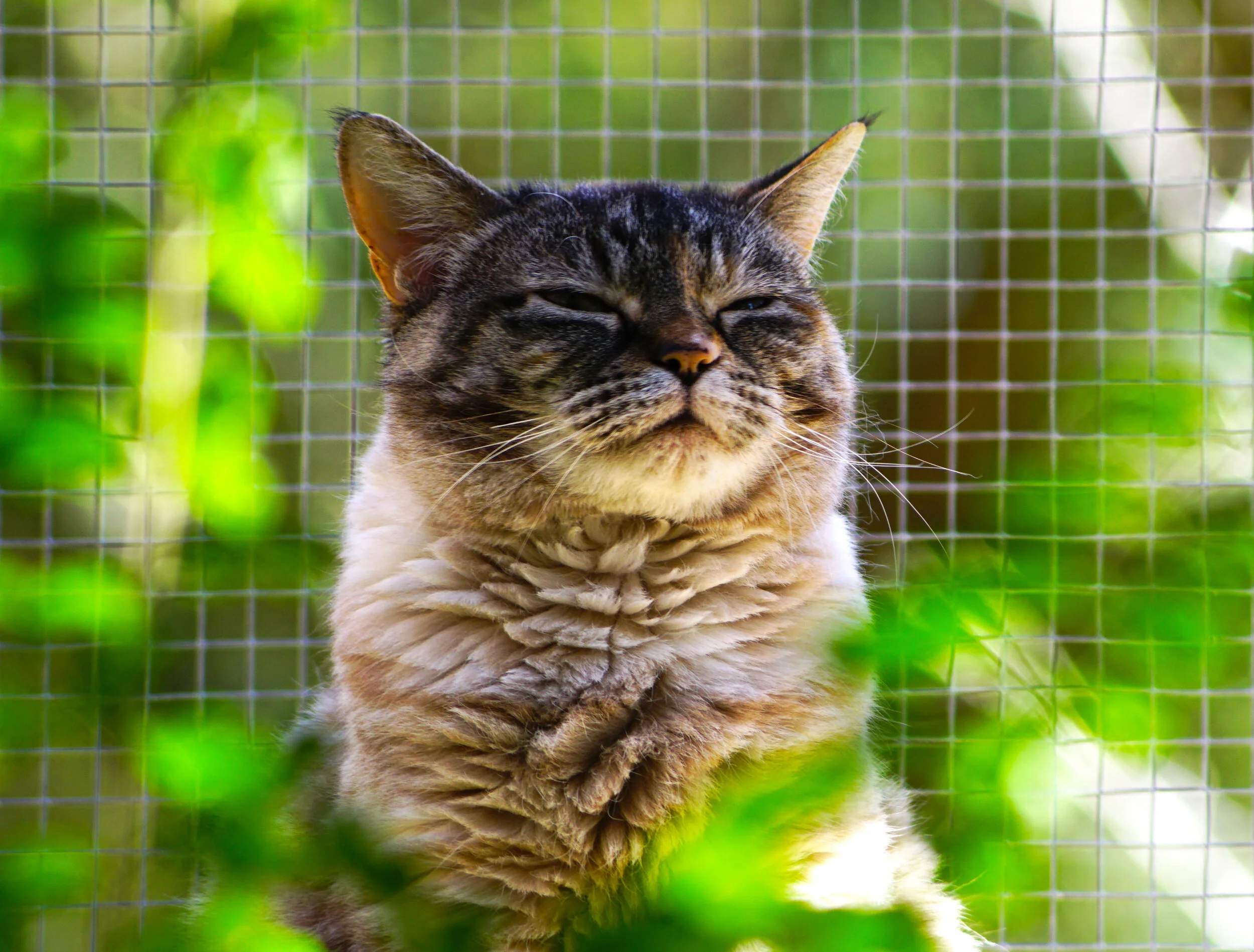 Mystara hasn’t seen me yet