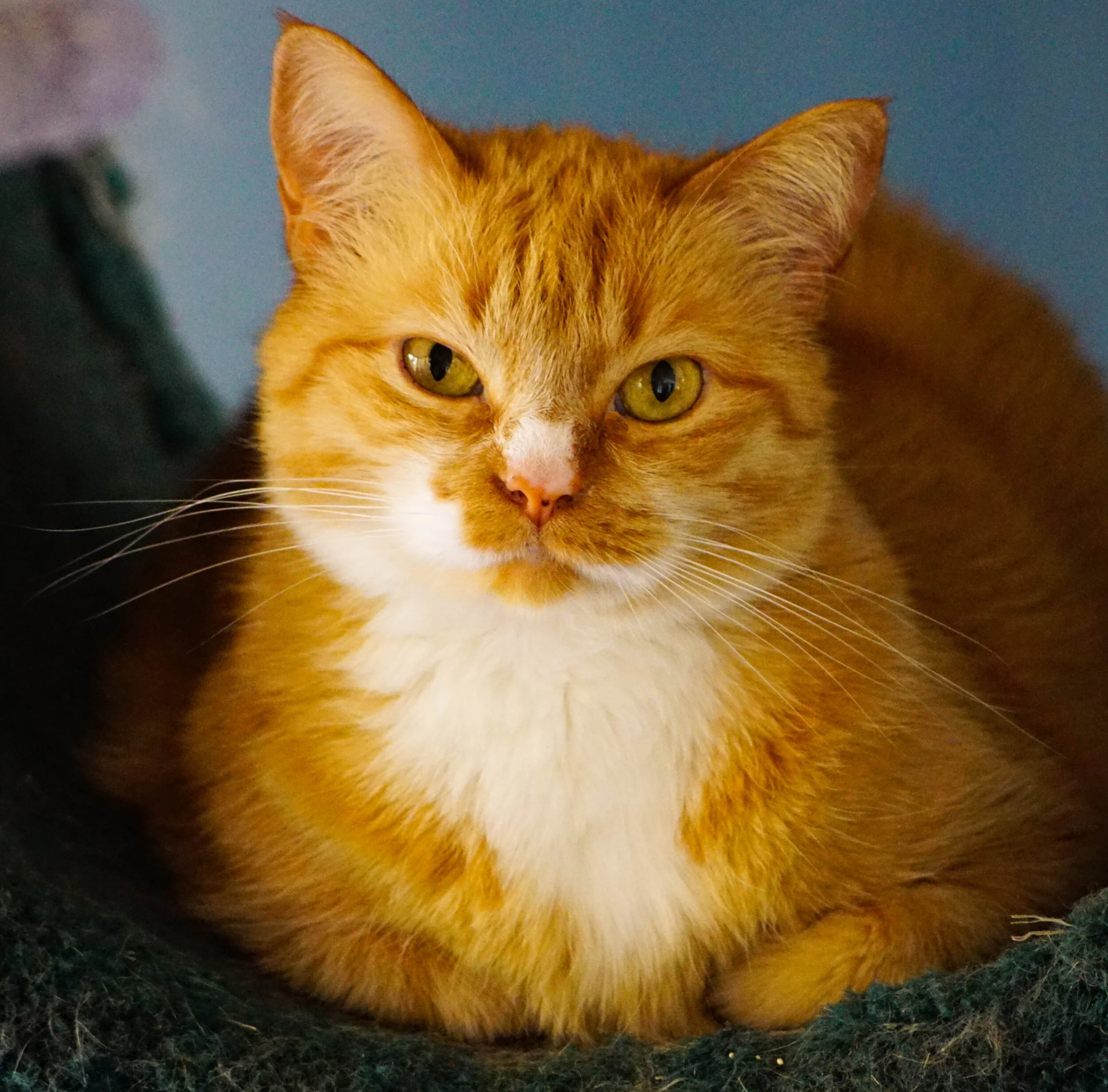 Fiona is doubtful that running around taking pictures is really work.