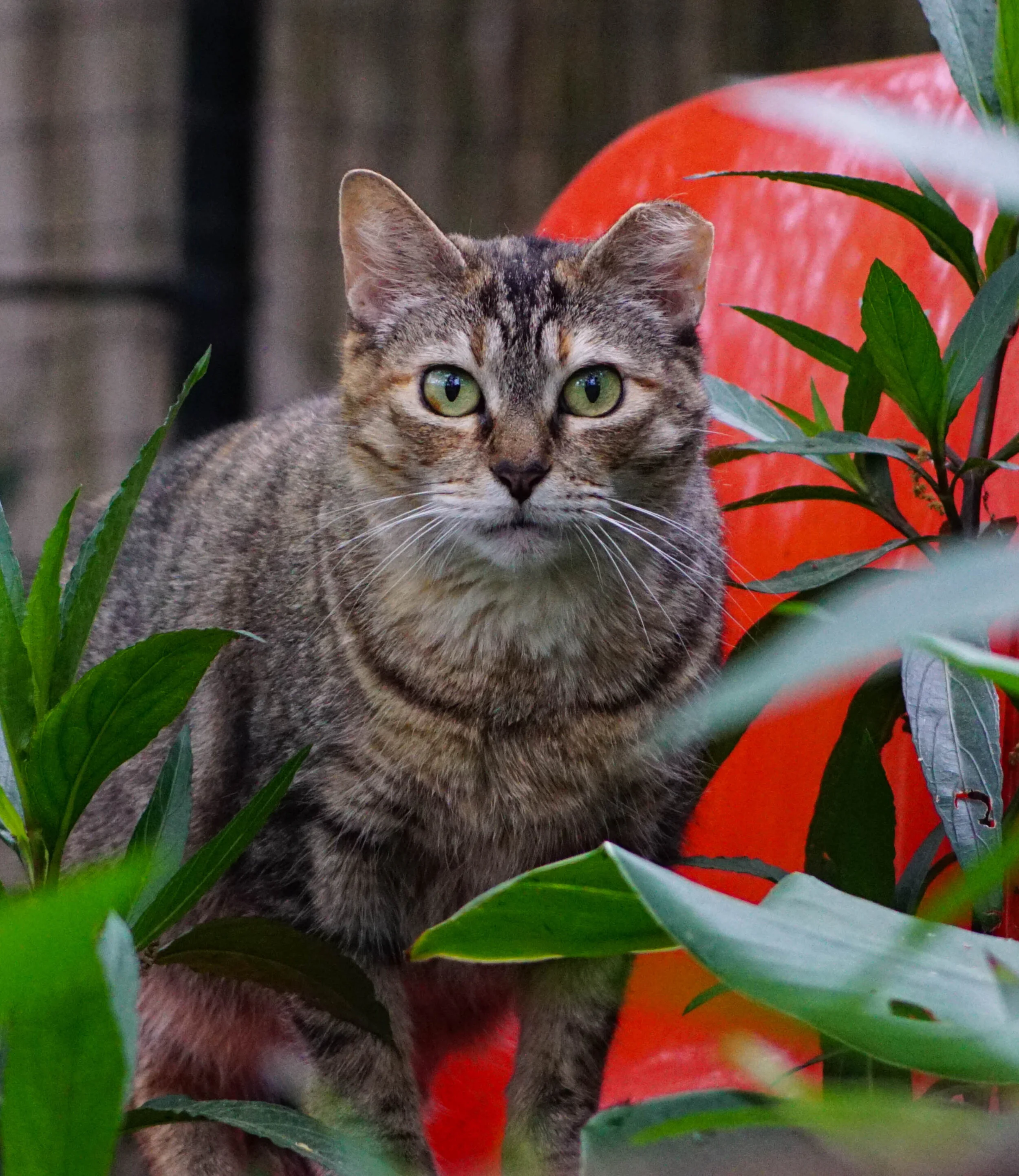 Photoblog 2020 October 5