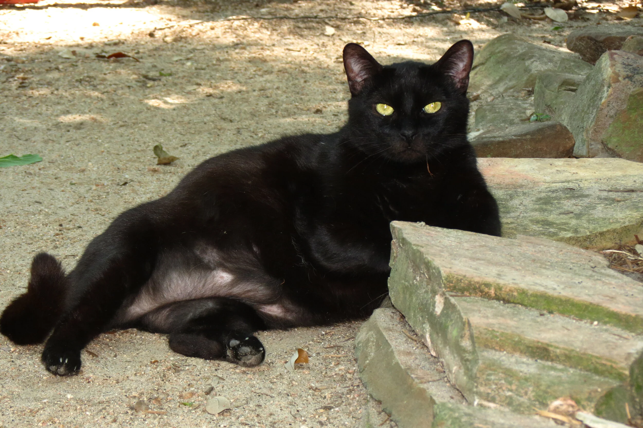 Photoblog 2021 February 10