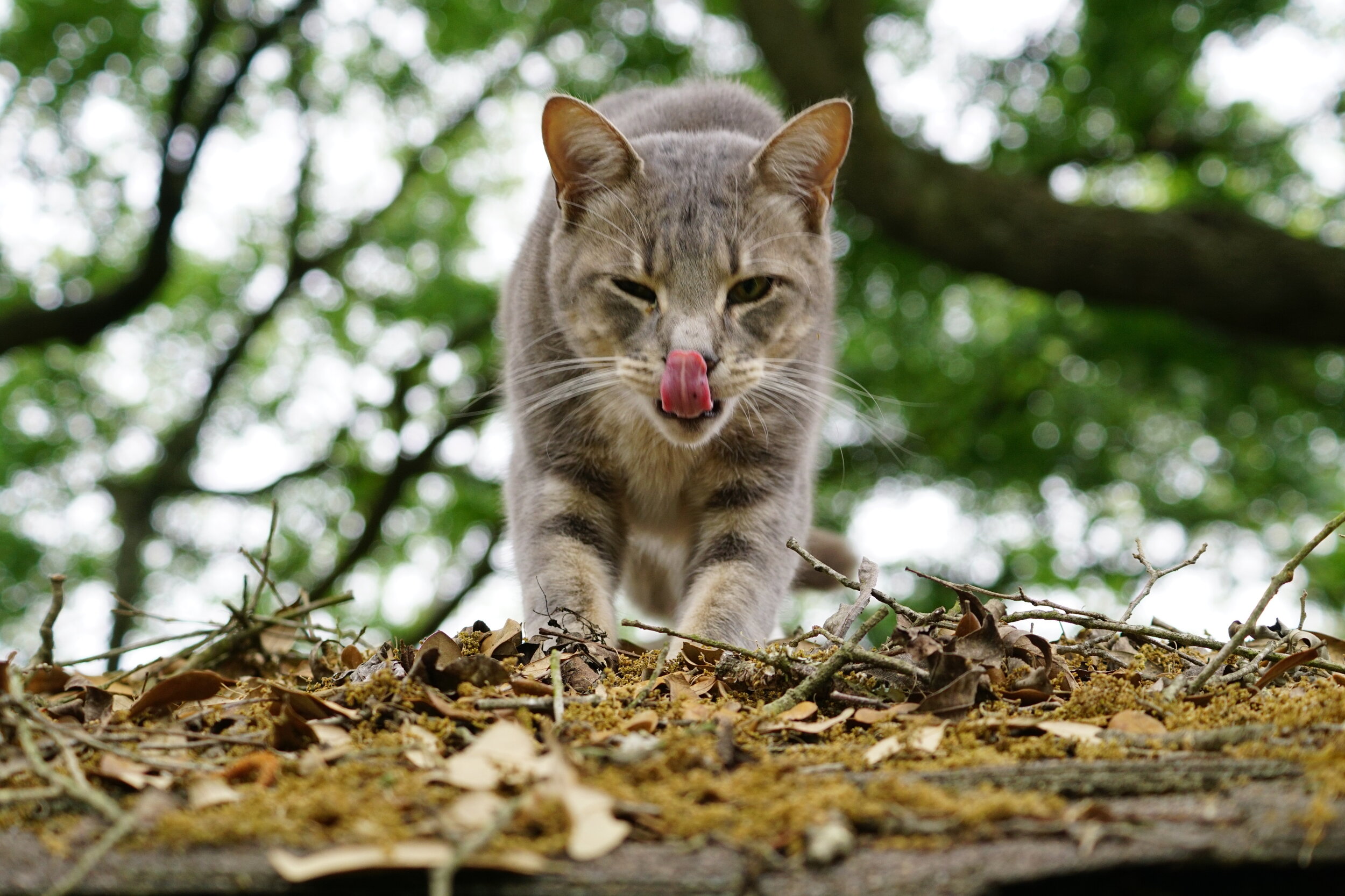 Photoblog 2021 February 12