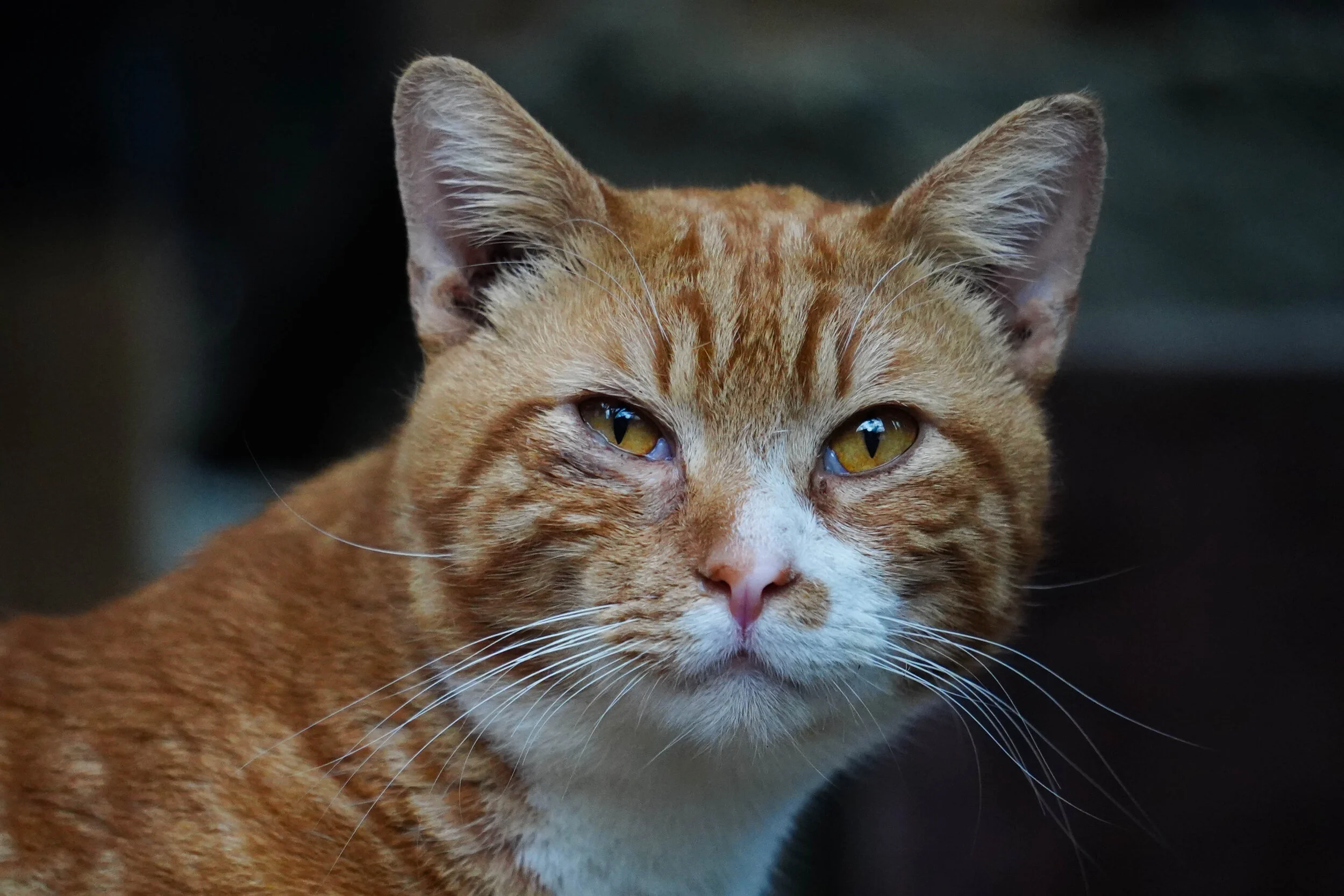 Photoblog 2021 June 14