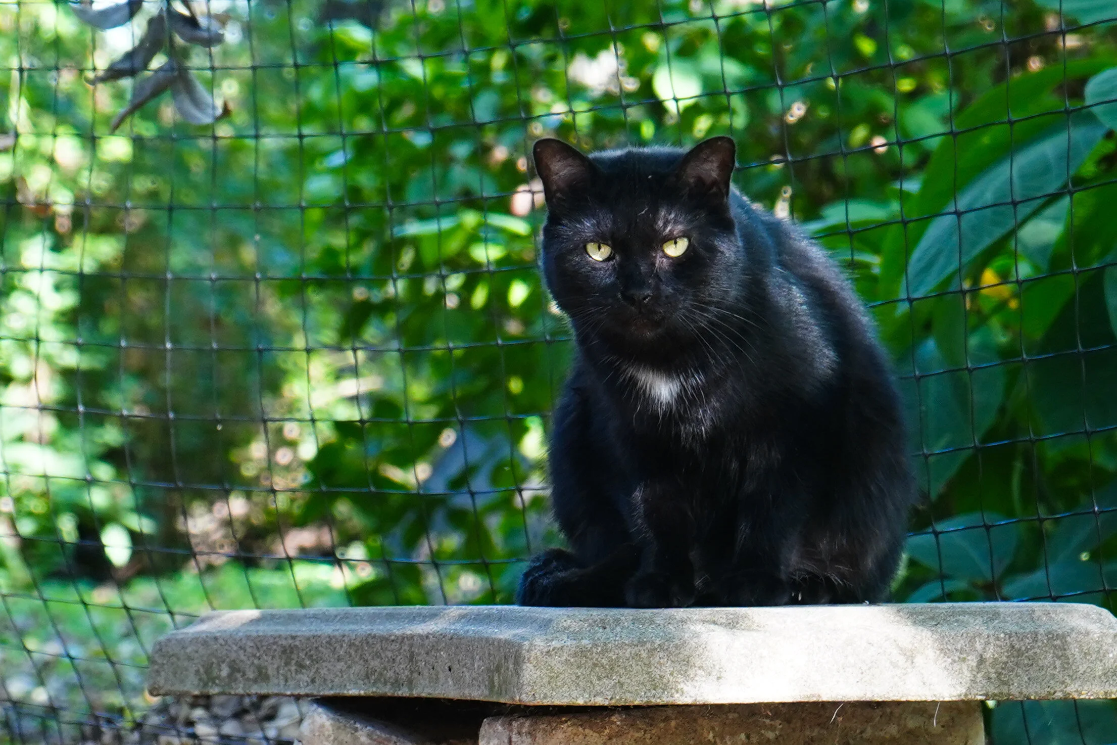 Photoblog 2021 July 2