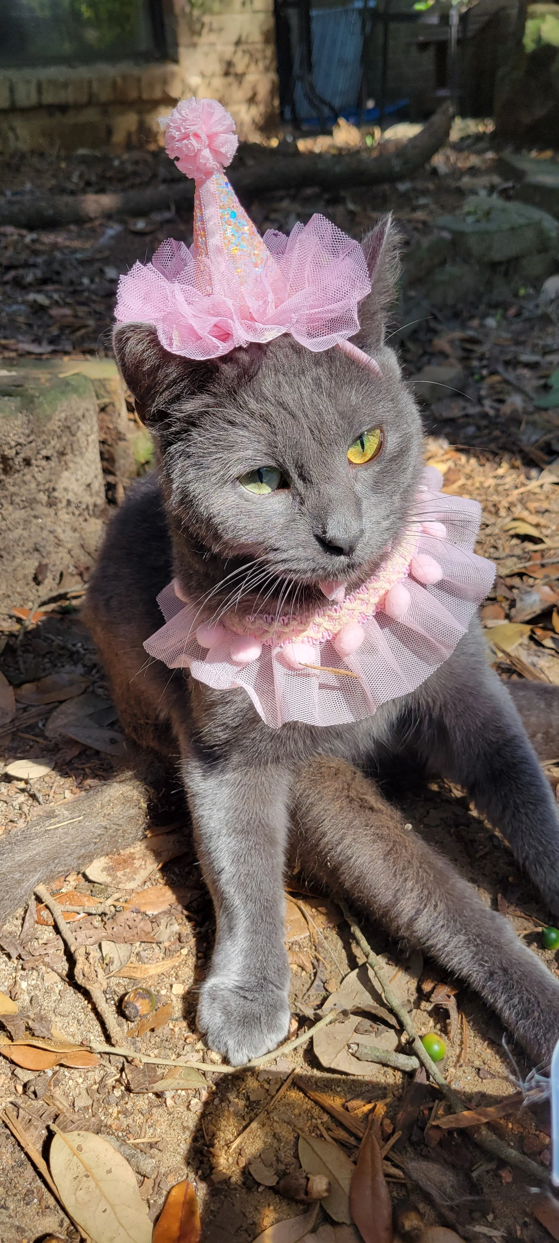 Gearing Up For Halloween!