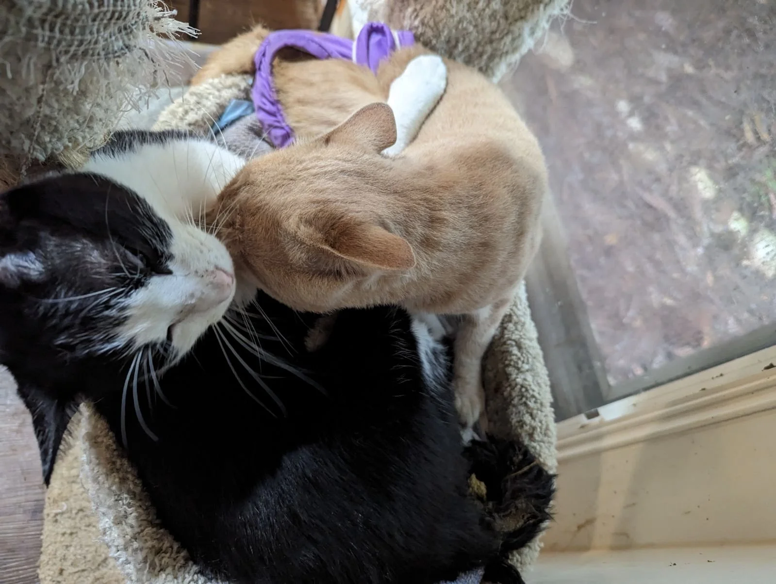 Butters and Pico 002.jpg