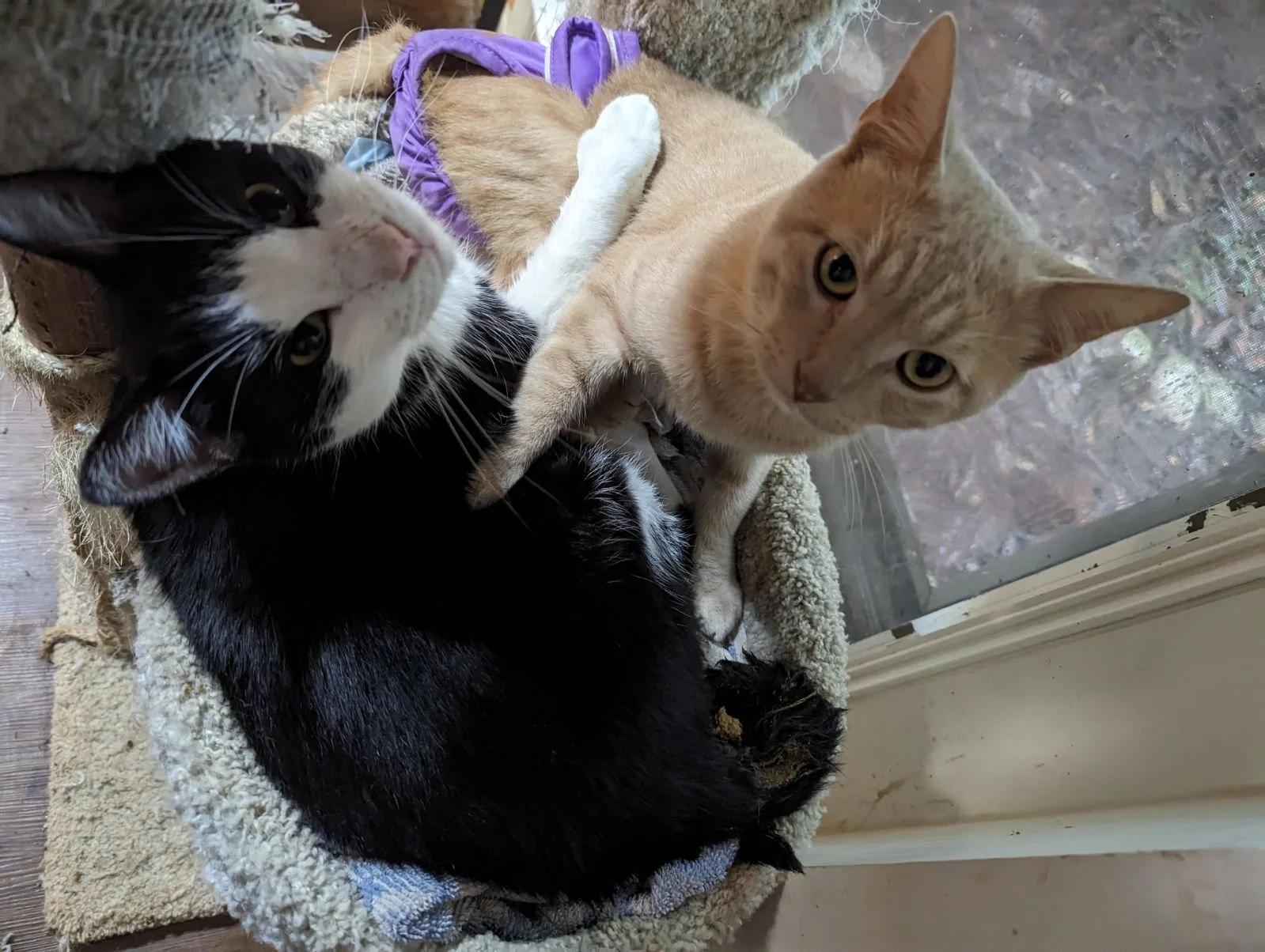 Butters and Pico 003.jpg
