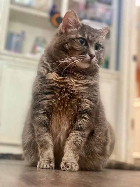 Sylvie