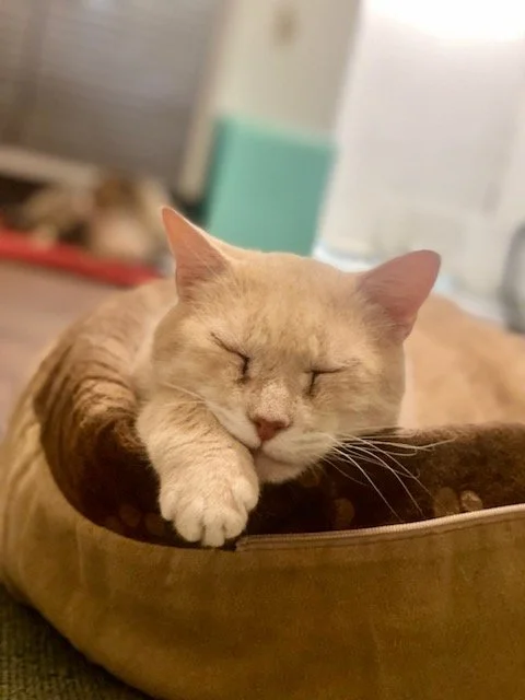 Casper