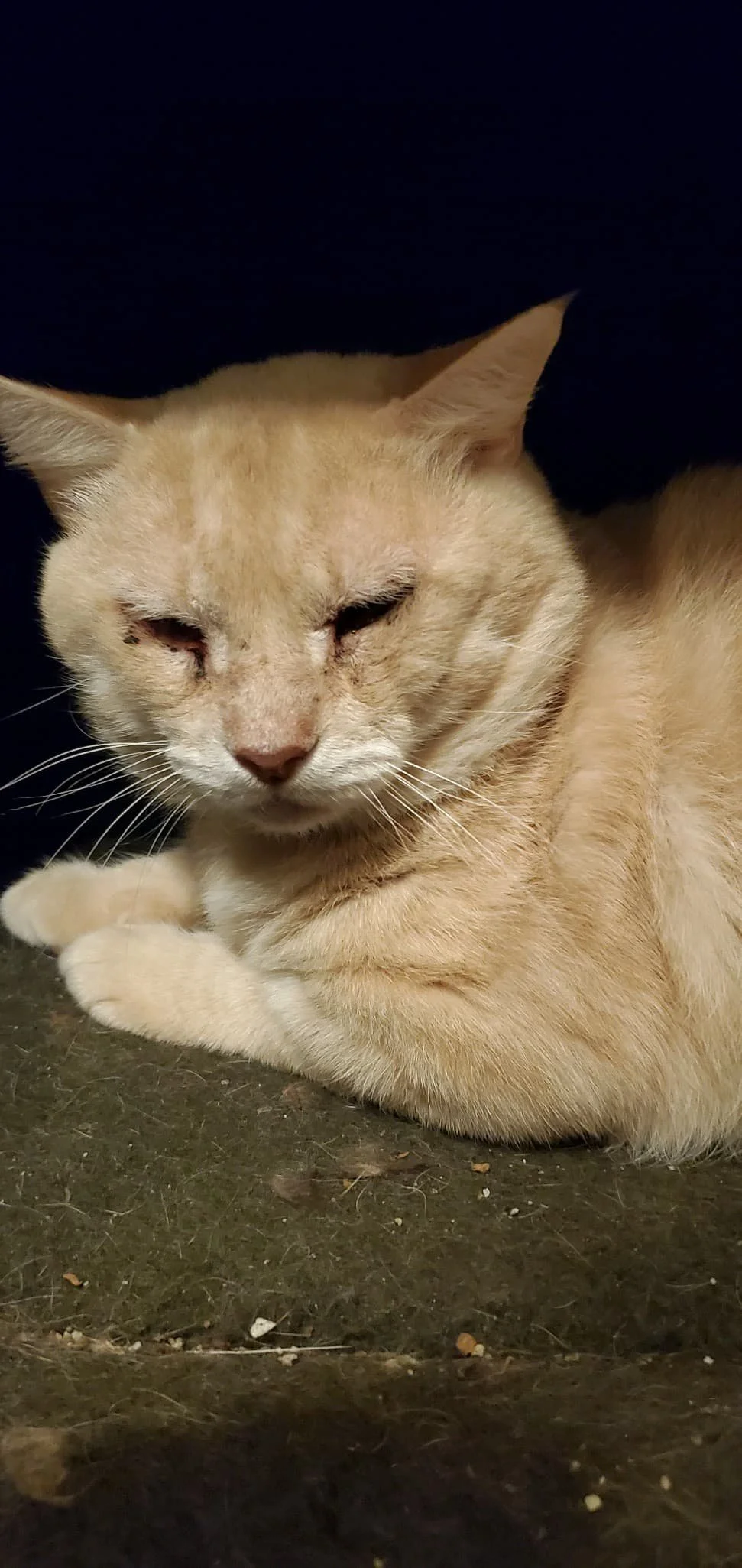 Casper 2021-5-29.jpg