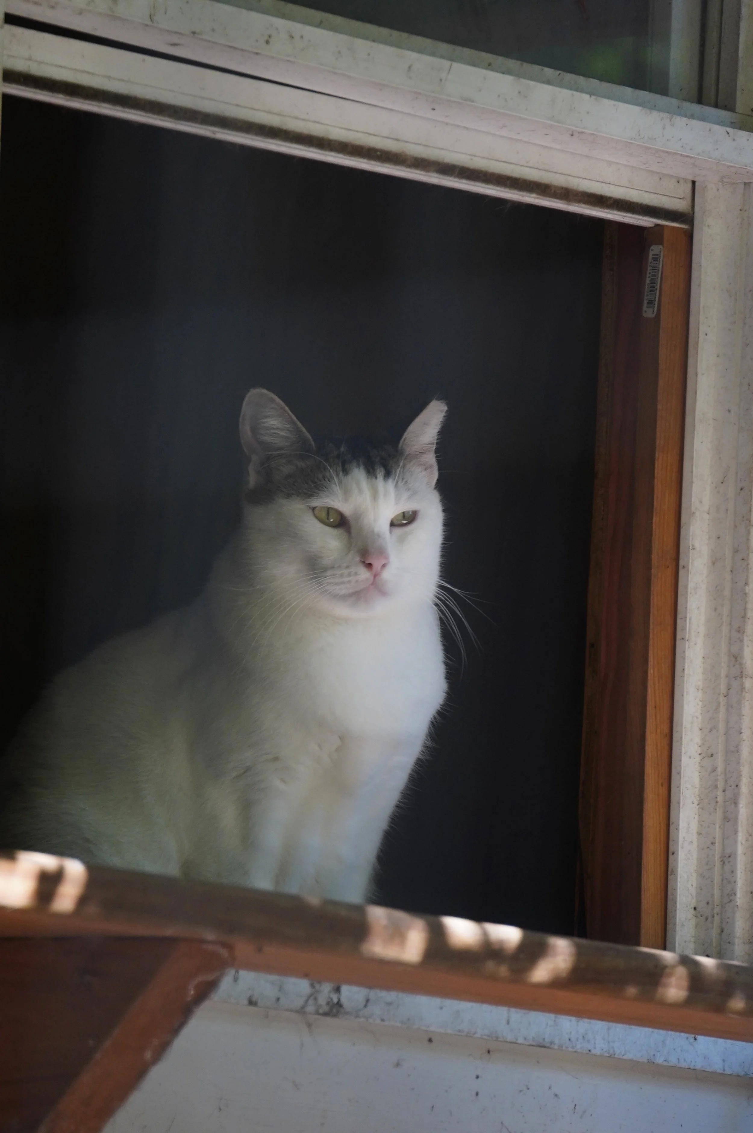 Casper 002.JPG