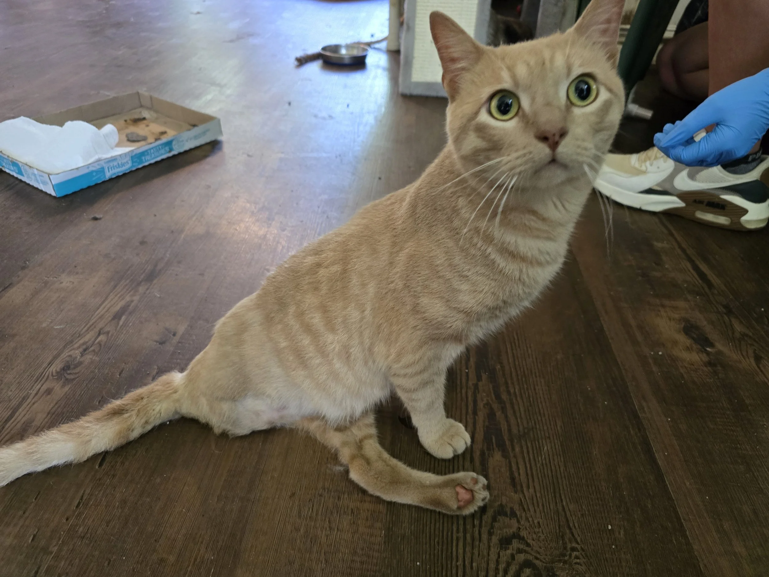 Butters' Road to Recovery