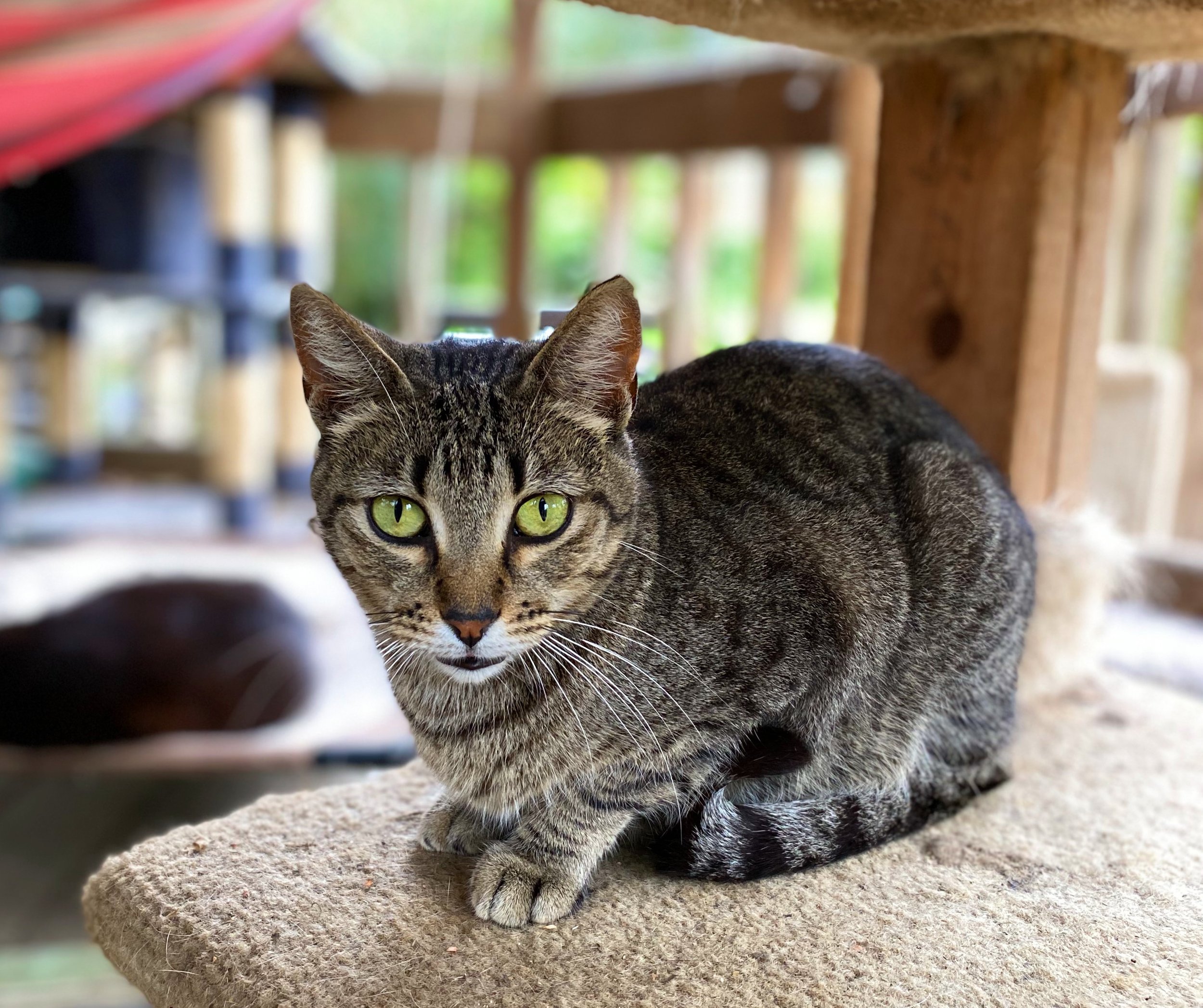 Photo Mar 03, 2 47 23 PM (1).jpg