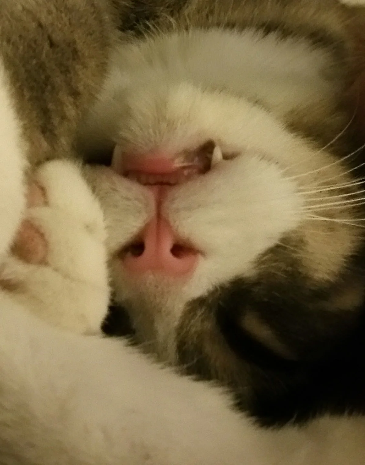 2015-06-15 22.39.38.jpg