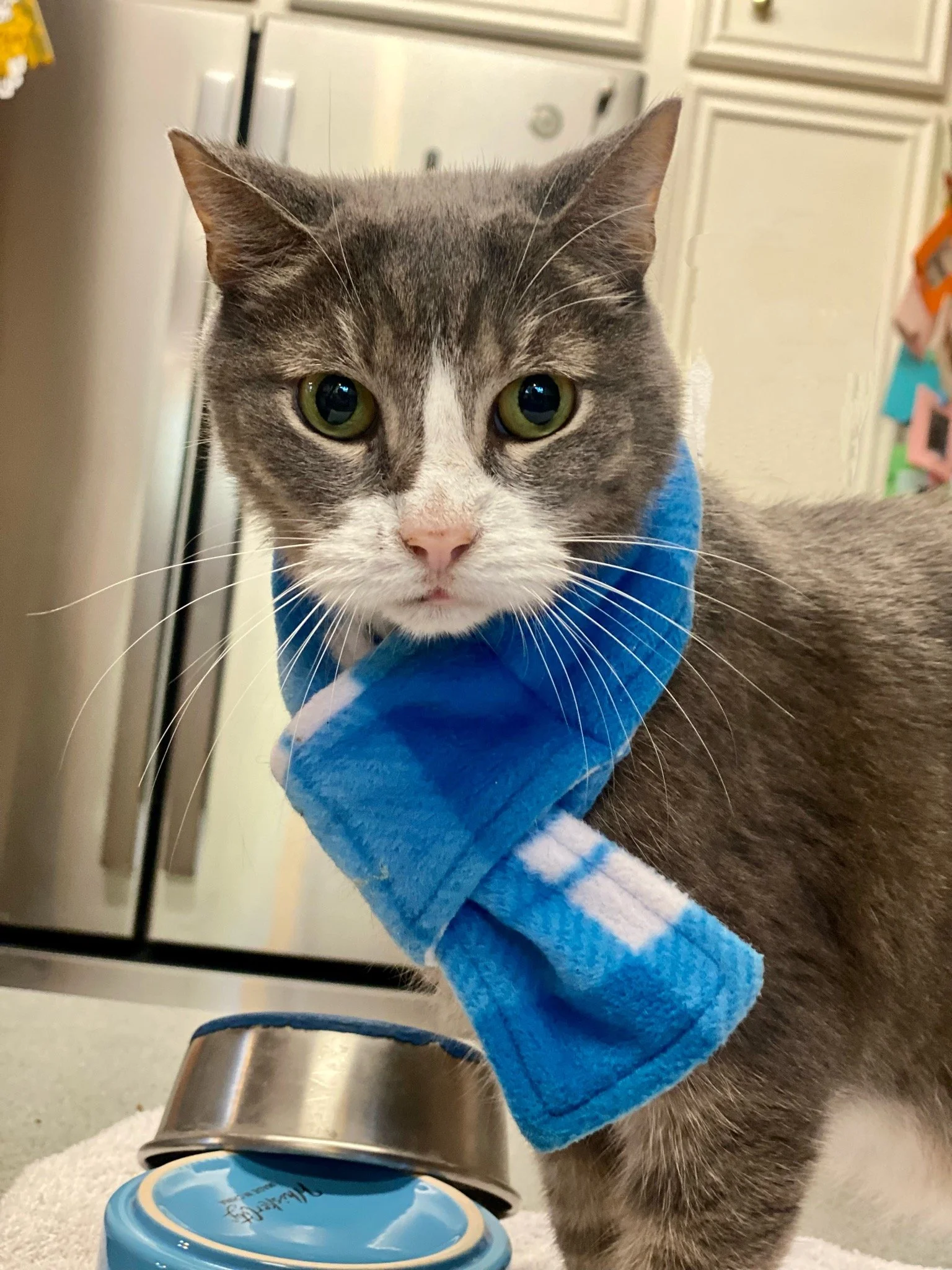 2013 Watson Scarf.jpg