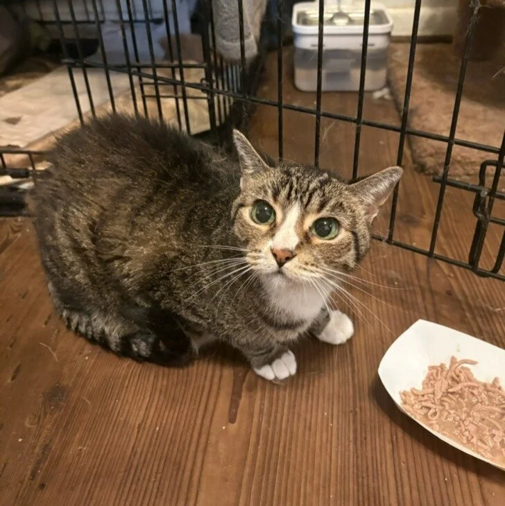 imagejpeg_0 (1) (2).jpg