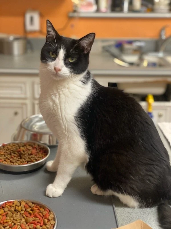 Lupin 10-5-23 001.jpg