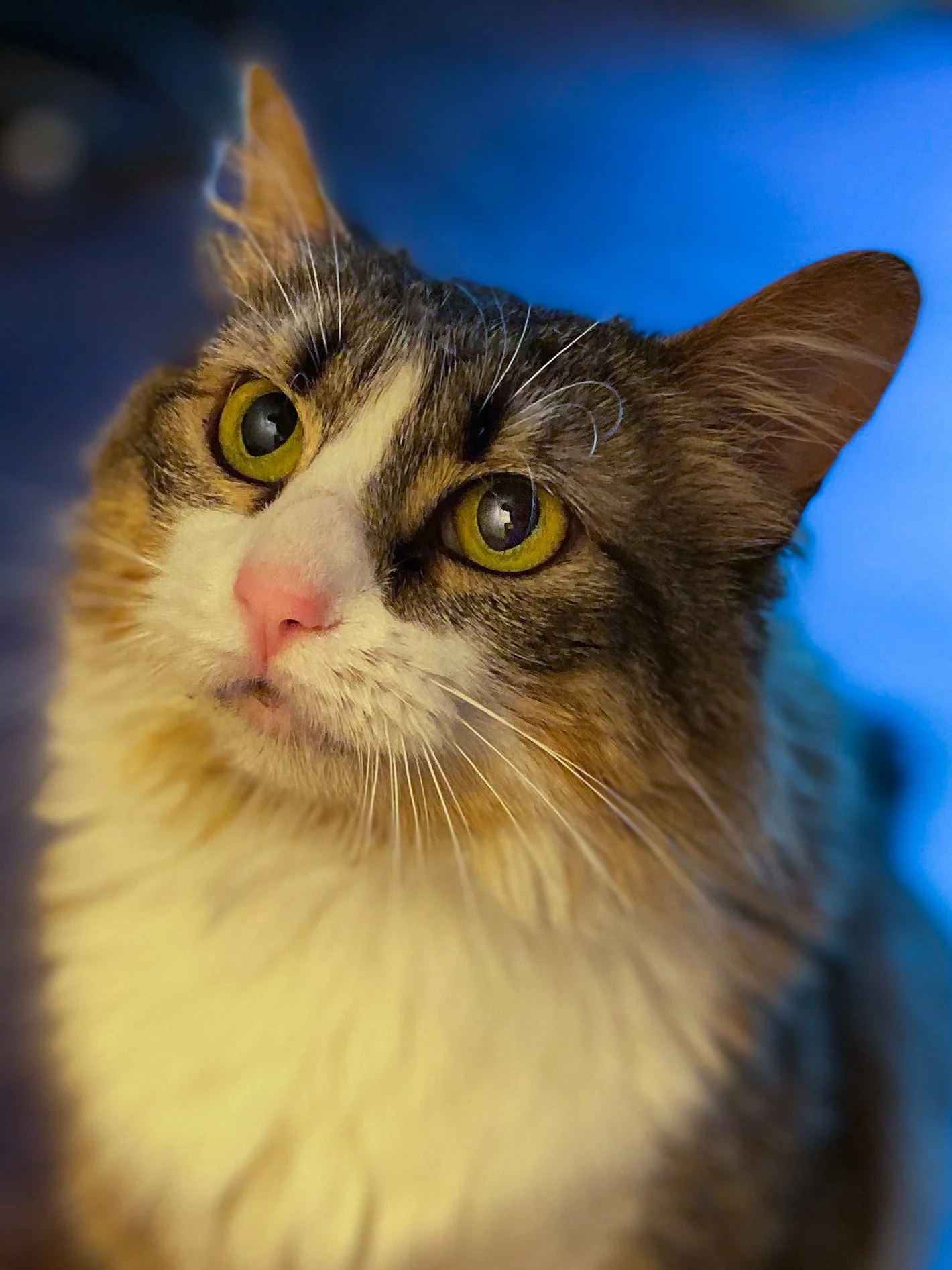 Photo Oct 08, 1 41 29 PM-2.jpg