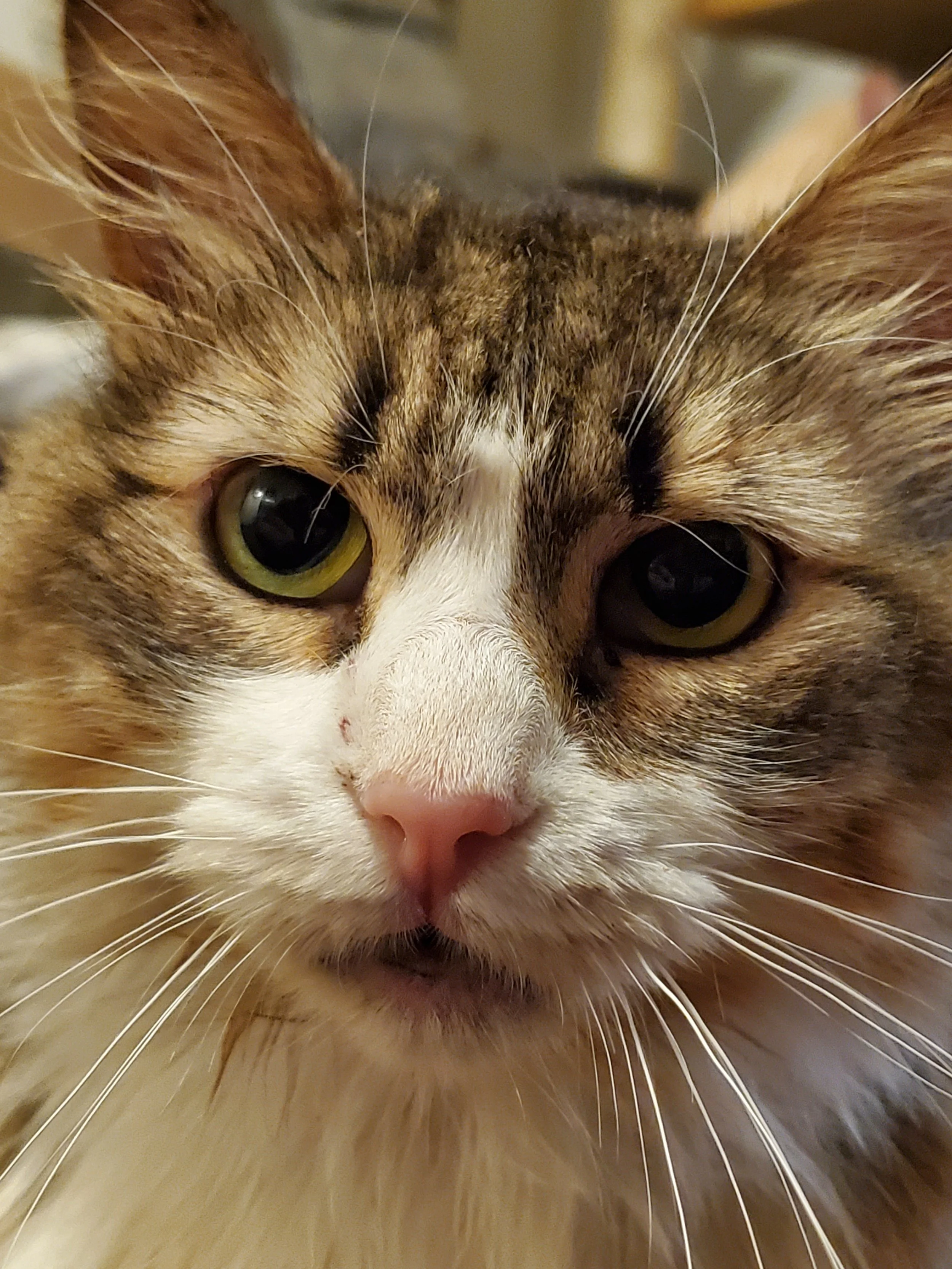 20211122_141056 (1).jpg