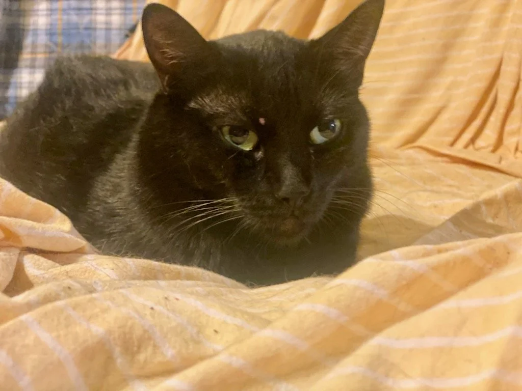 Trill 10-5-23 001.jpg