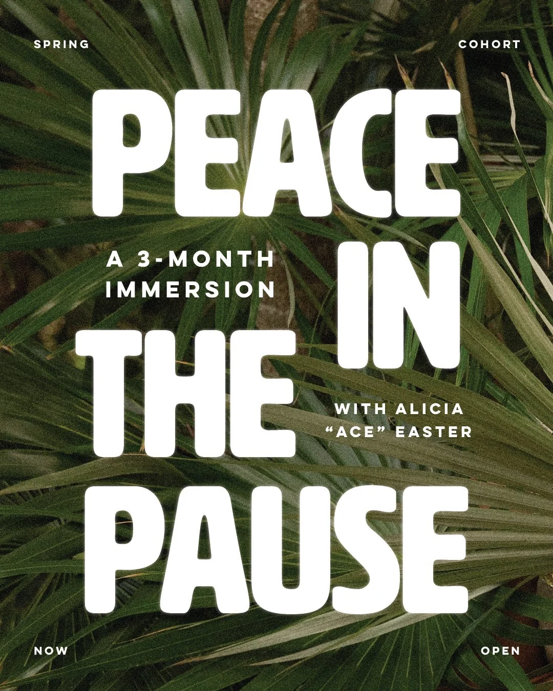 Peace in the Pause: 3-Month Immersion