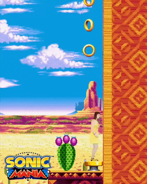 sonic_instagram_2.gif