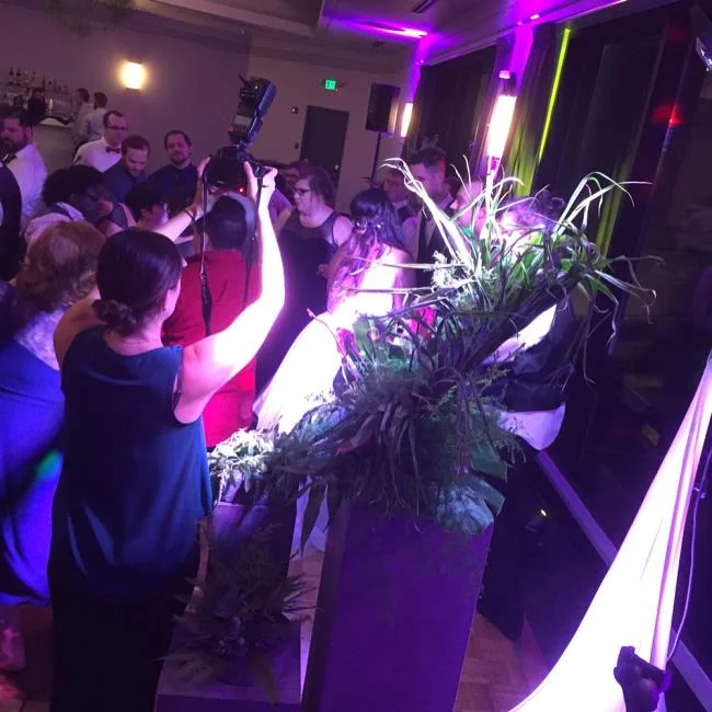 Wedding Cameras Action.jpg