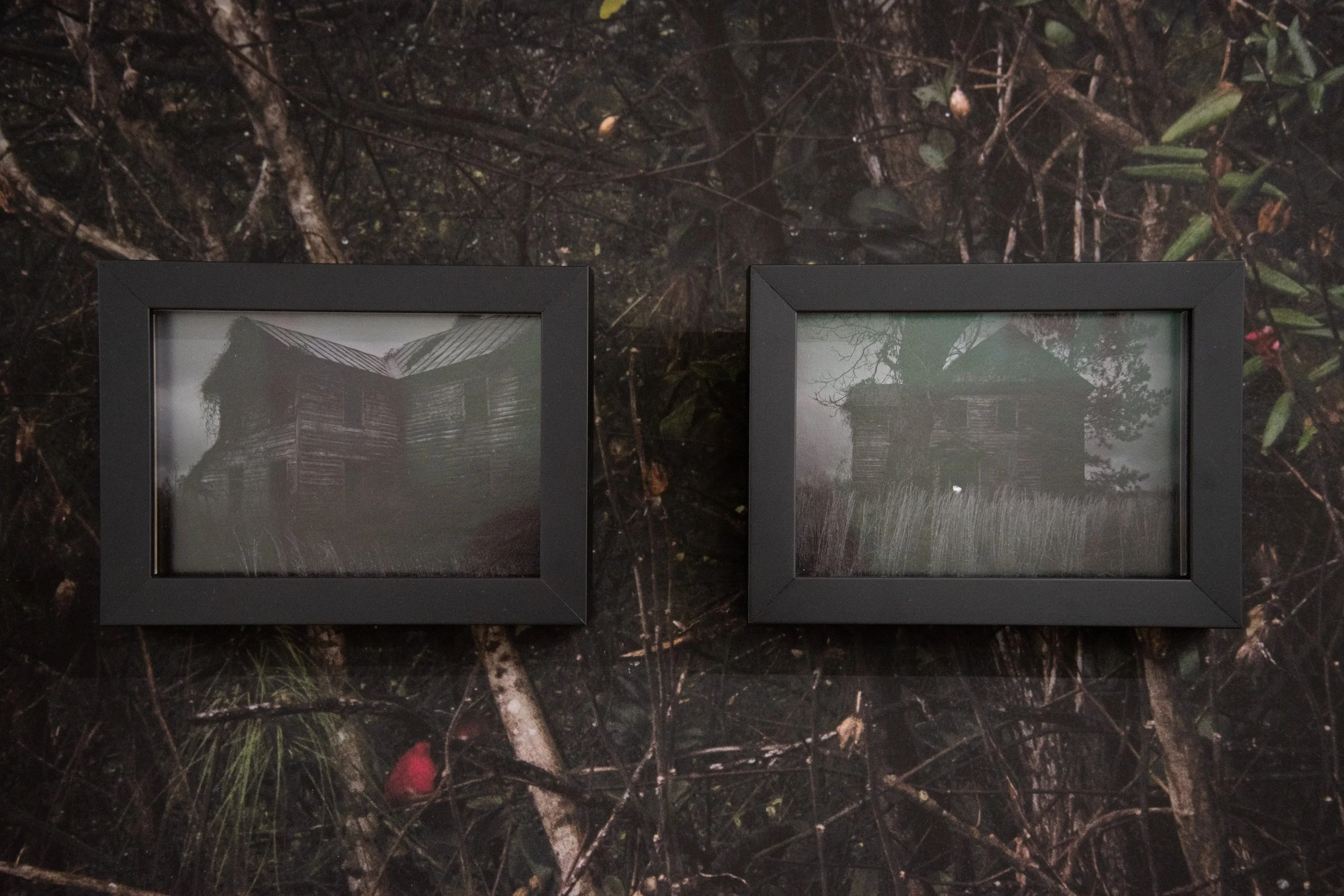 TSA_GVL_Kudzu_Edits-56.jpg