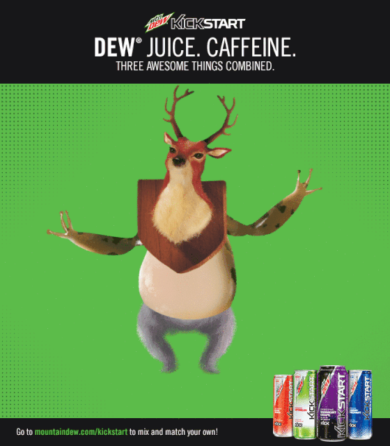 deer-frog-koala.gif