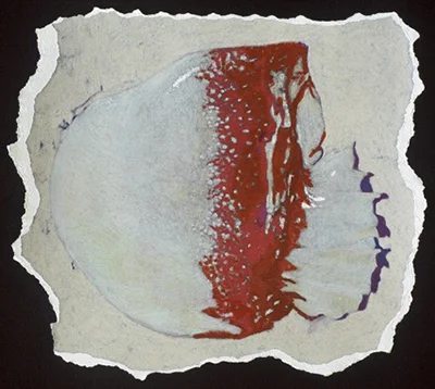 torn1.jpg