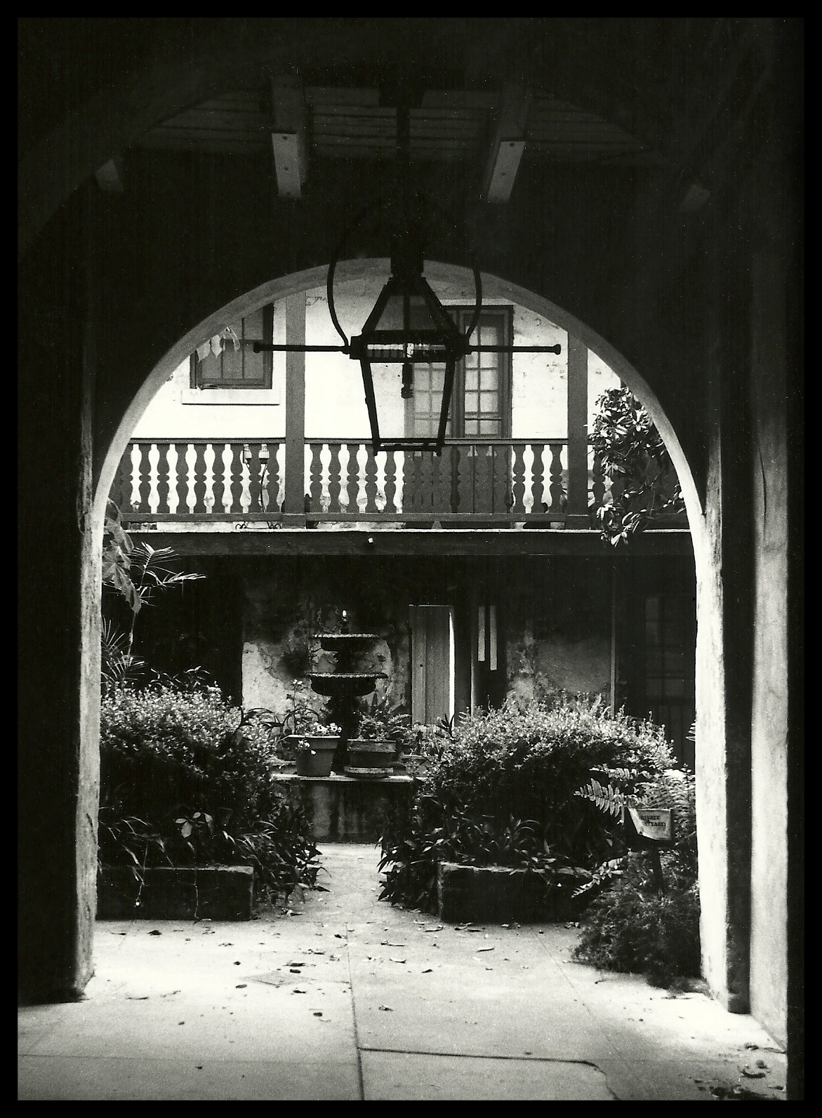 backyard-in-new-orleans_26181628363_o.png