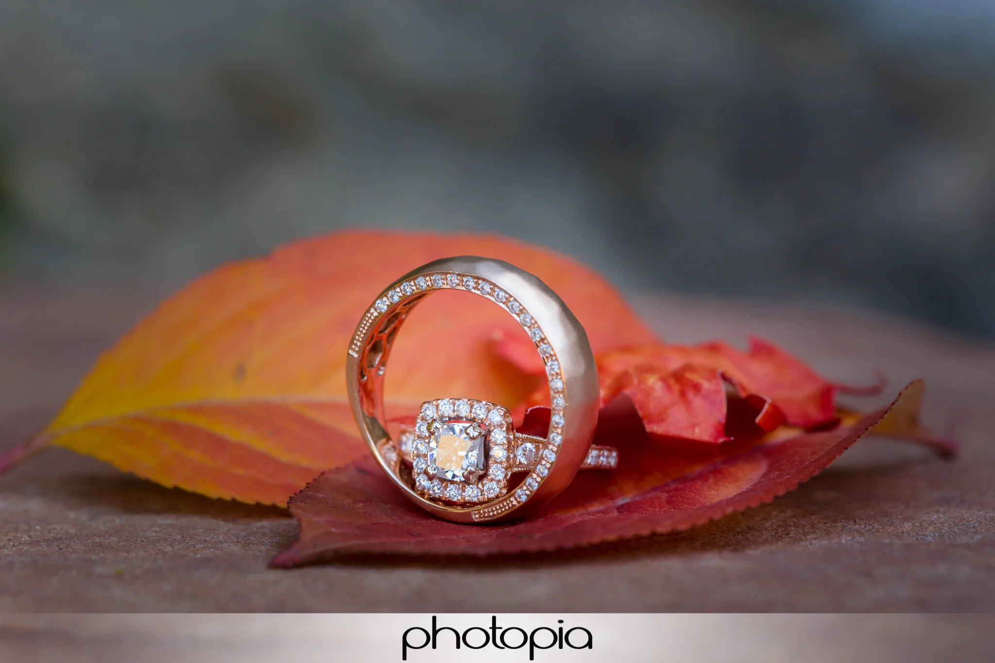 Utah Wedding Photographer-9.jpg