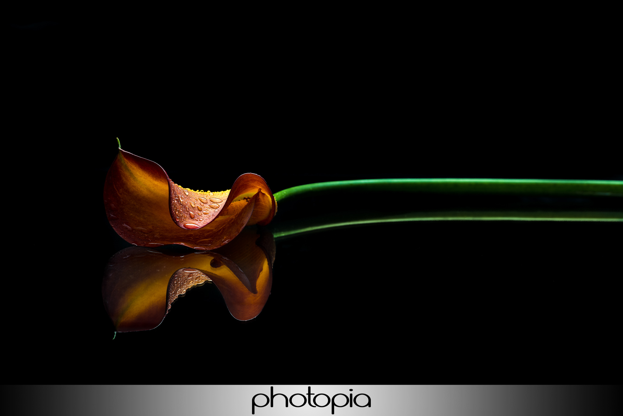 Model photography-021.jpg