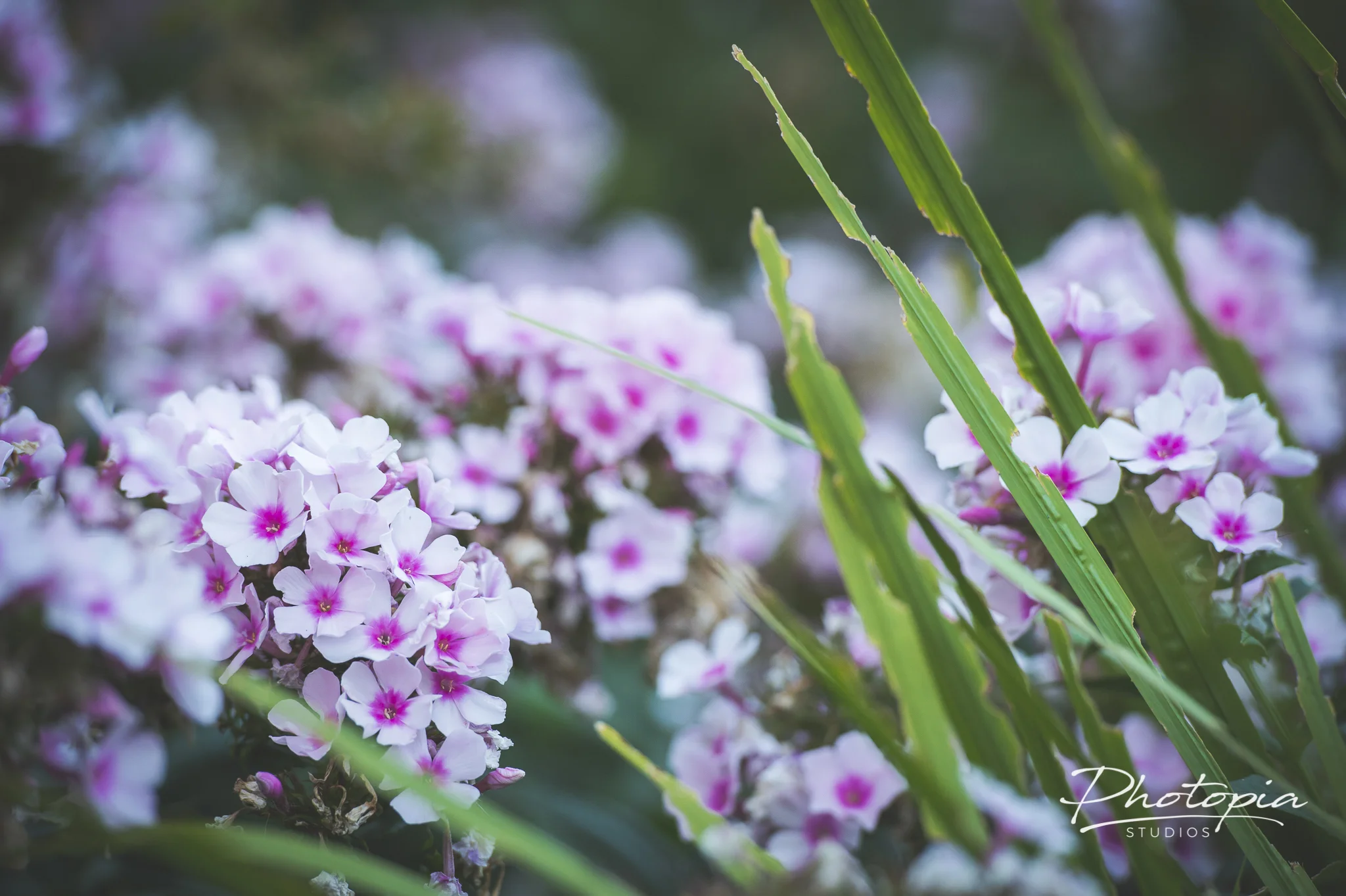 Kevin and Altee | Red Butte Gardens