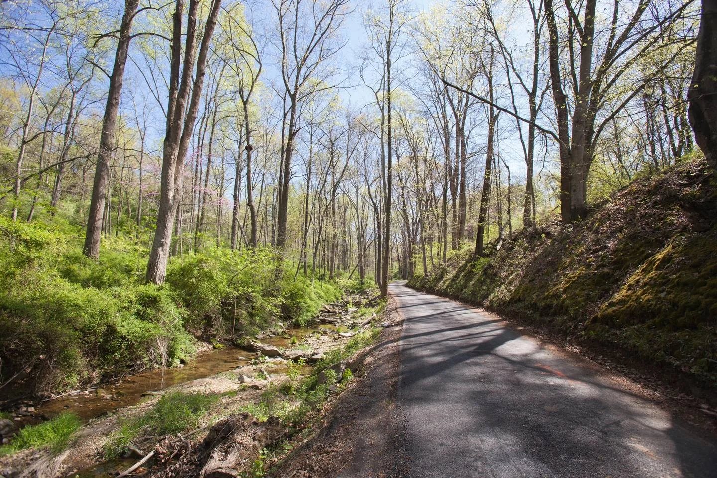 The road leading up to our farmhouse for the retreat.